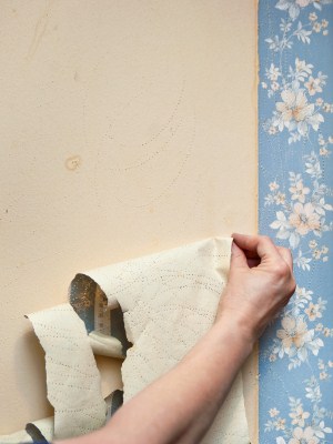 Wallpaper removal in Grand Blanc, Michigan by A Brush of Color Inc.
